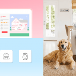 Man sitting on an Airbnb sofa smiling at a golden retriever lying comfortably on the floor beside him in a pet-friendly vacation rental.